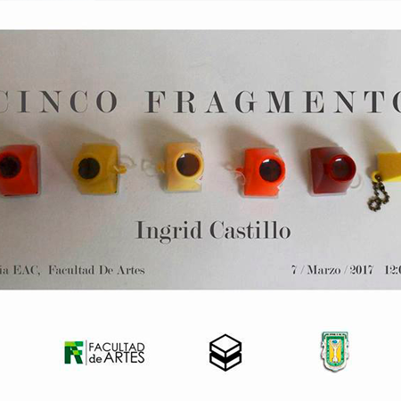 “CINCO FRAGMENTOS” Individual: Ingrid Castillo, 